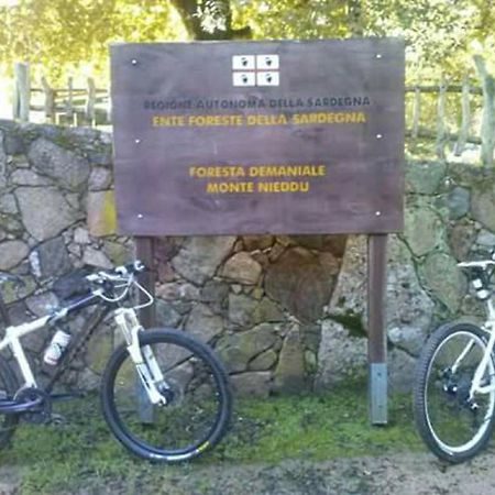B&B Il Vigneto Capoterra Zewnętrze zdjęcie